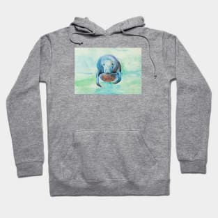 Underwater Manatee Watercolor Hoodie